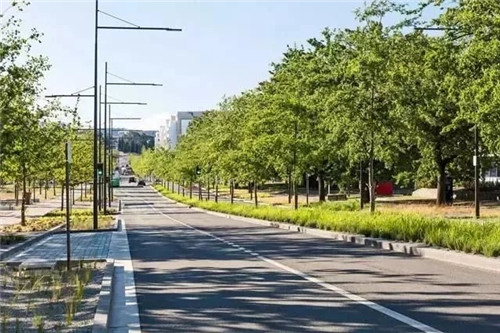 國(guó)外街道景觀改造,為何如何讓人津津樂道?